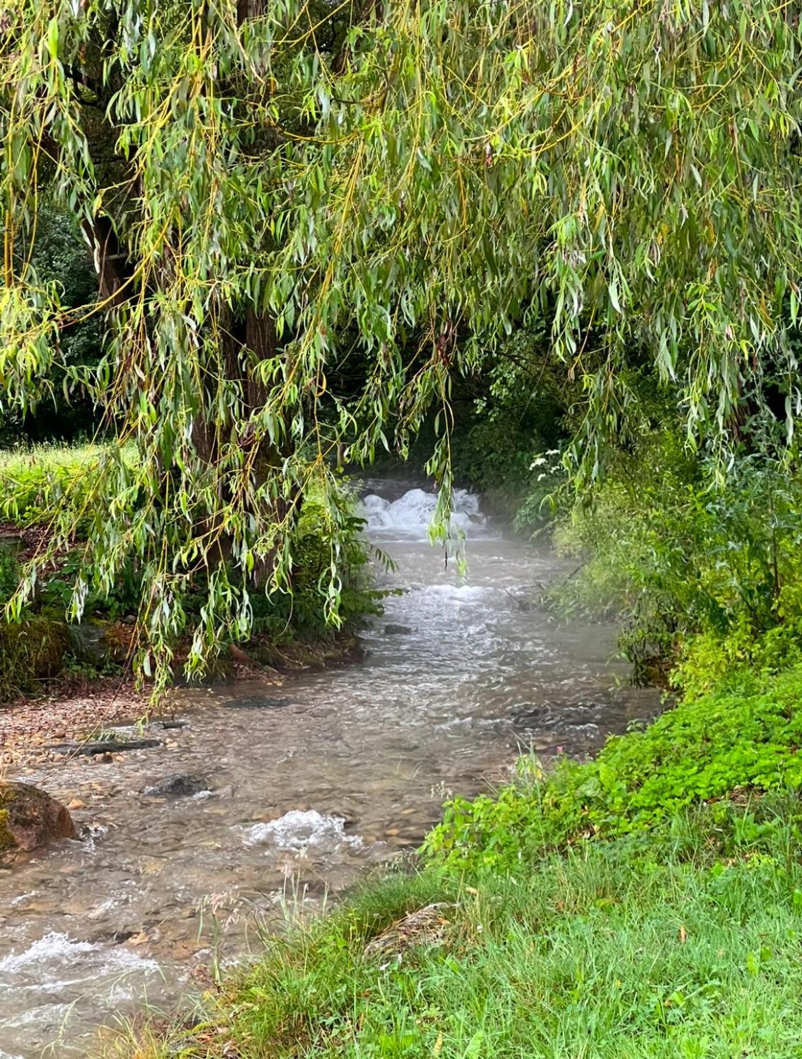 Haus Am Fischteich Daire Feistritz ob Bleiburg Dış mekan fotoğraf